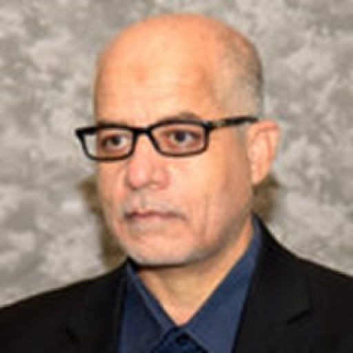 Prof. El-sayed M. El-alfy